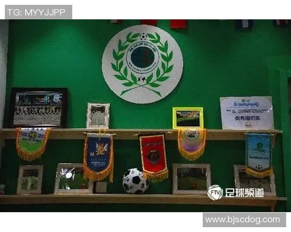 非法足球星星卡的功能与使用方法解析及其潜在风险